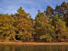 "Pine" Beach / ***