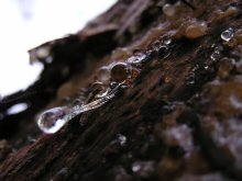 Resin / ***