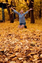 autumn / ***