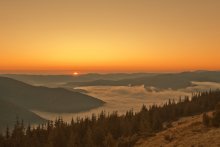 Narodzhennya new day / ***