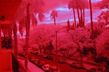 dalliance with infrared filter / ***