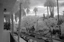 dalliance with the infrared filter 2 / ***