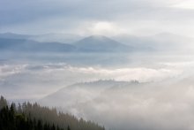 Karpaten, Nebel ... / ***