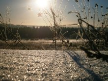 Sunny day. / ***