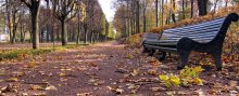 In der Herbst-Park / ***