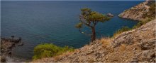 At the edge of the Black Sea / ***