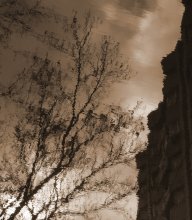  / ***