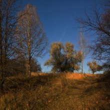 Autumn ... / ***