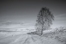 Lonely / ***