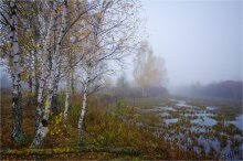 Foggy Morning 3 / .....