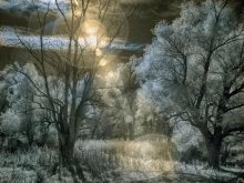 another world / infrared