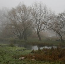 In the morning silence. / ***