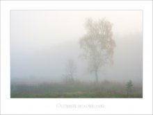 Autumn melonholiya / *********