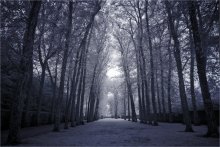 Alone in the park / ***