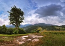 Cool summer in the Carpathians / ********************