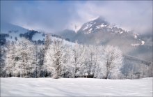 Frosty morning in the Carpathians / ***