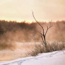 Winter card / ***
