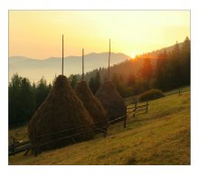 Carpathian morning / ******