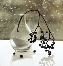 Sailed dreams ... like ships .... / ............