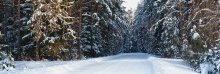 Winter Landscape / ***