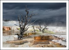 Yellowstone NP (1) / ***