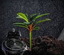 As time went on .. / ***