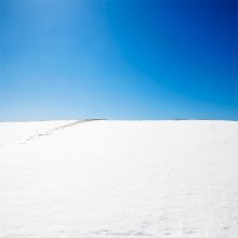 [Color WiNTER] / ***