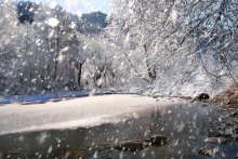 Falling Snow / ***