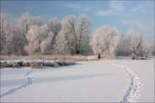 In the footsteps of Father Frost and Snow Maiden / ***