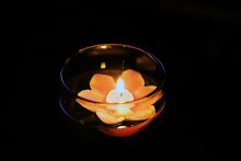 Licht Blume in einem Glas / ***