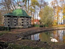 Autumn in Peterhof / ***