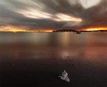wind / ***