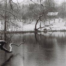  / Graflex Crown, 6x6