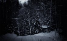 Transparent Winter / Transparent Winter