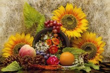 Solar Still Life / ***