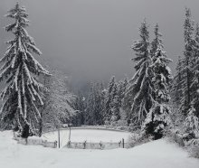 White snow winter zaporoshila .... / ***
