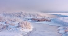 Snow ...... garden (small series) ...... / 2.
[img]http://f2.s.qip.ru/dlsBsheU.jpg[/img]
3.
[img]http://f4.s.qip.ru/dlsBshf2.jpg[/img]
4.
[img]http://f4.s.qip.ru/dlsBsheZ.jpg[/img]
5.
[img]http://f1.s.qip.ru/dlsBsheX.jpg[/img]
6.
[img]http://f4.s.qip.ru/dlsBsheV.jpg[/img]