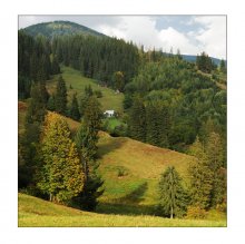 Autumn Carpathian / ******