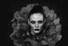 Rose / ***