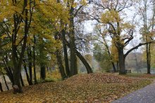 Loshesky Park / ***