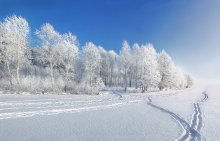 Today frosty day) / !!!