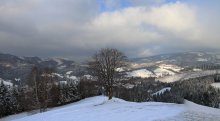 Die Januar-Nachmittag / ____________________*