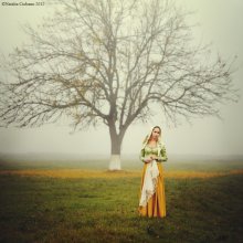 Tree / http://soul-portrait.com/