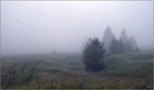 Misty Carpathian corner ... / ...