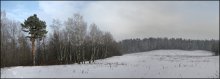 Snowstorm in the field / ***