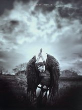 Fallen Angel / ***