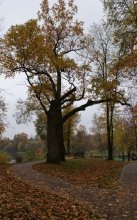 Herbst / ***
