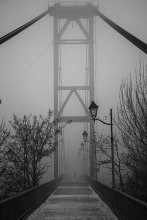 Misty twilight of Zhitomir / ***