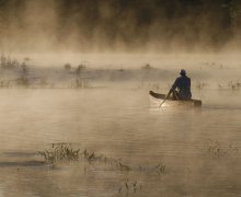 Coffee River. / ***