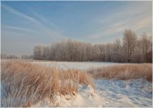 "January" / ***